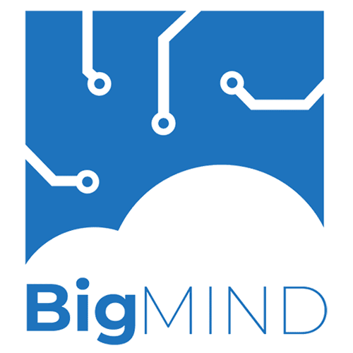 Review : BigMIND: Overview, Pricing and Features 