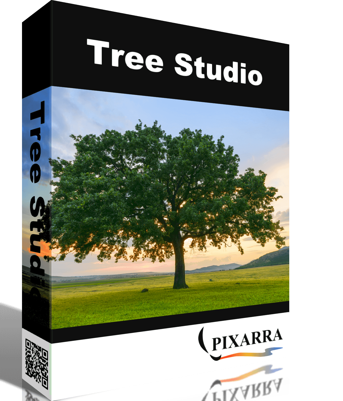 Giveaway : TwistedBrush Tree Studio 1.13