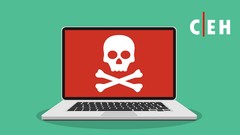 Complete Ethical Hacking Certification Course: Zero to Hero