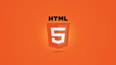 Examinations in HTML language