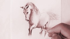 Figure Drawing & Sketching of Horses