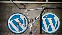 The Complete Technical SEO Course for WordPress