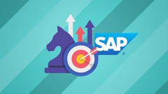 SAP Basis One-on-One Foundation: From Novice to Professional