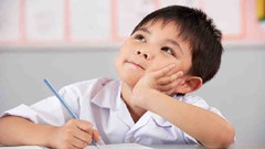 Accelerated Student Memory Mastery