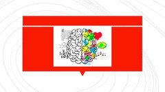 Learn to train your brain