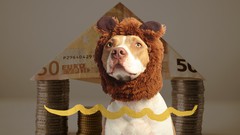 Magnetic Wealth: Become a Conscious Wealth Creator