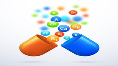 CompTIA BR0-002 Network + Bridge Certified Practice Exam