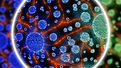 History and General Microbiology: The Foundation