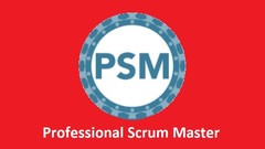 PROFESSIONAL SCRUM MASTER (PSM 1) 2020 - Practise Tests