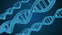 DNA and Therapeutic Agents MCQ Practice Questions (Bio Tech)