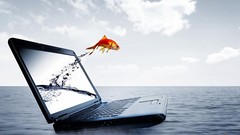 9A0-044 ACE Adobe Photoshop Certified Practice Exam