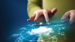 CompTIA JK0-019 E2C Installing Network Configuration Exam