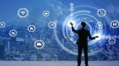 Oracle 1Z1-574 IT Architecture Essentials Practice Exam