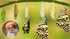 Isha Kriya: A Powerful Meditation for Self Transformation