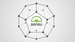 Sensu - Introduction